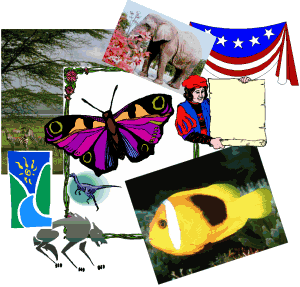 Collage of images - photos and clip art