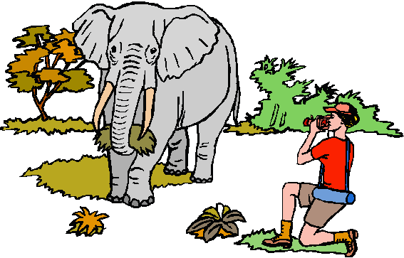 Example: Elephant eating hay. What keywords apply?