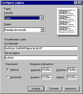 Dialog: Page Setup with entries