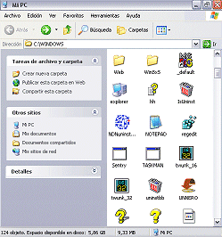 Mi PC: Vista iconos (WinXP)