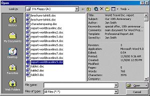 Dialog- Open - File Properties showing