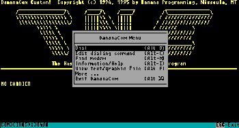 TNE screen illustrating a DOS based screen that has menus