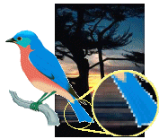 bitmap art of bird and sunset