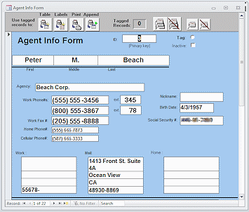 Data entry form for agents (Access 2010)