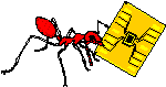 ant carrying microchips 