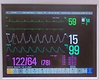 Medical monitor with touch screen