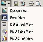 Button: Views for a form