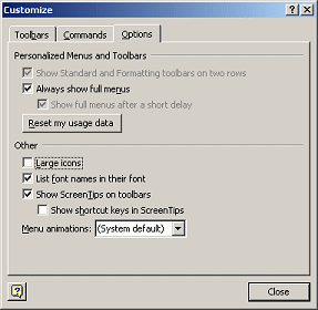 Dialog: Customize - Options tab