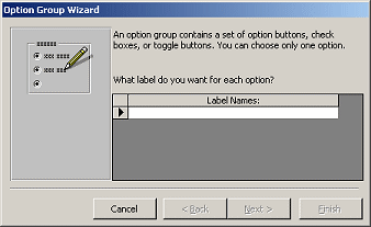 Dialog: Wizard for Option Group