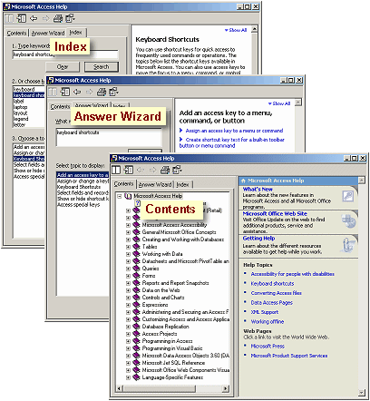 Dialog: Help (Access 2002)