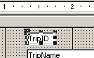 Form Design View: Trips autoform: TripID in new size
