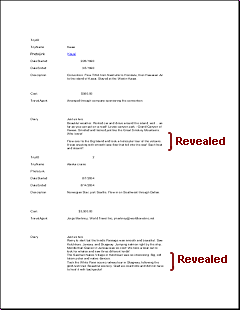 Trips AutoReport - page 1 after changing properties of Diary control