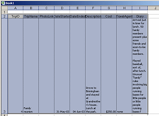 Excel- pasted record