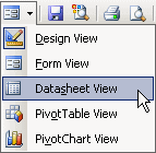 Button: Views - list opened to Datasheet View