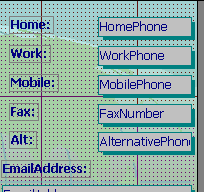 form Design View: Phone labels edited and resized
