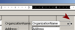Form Design View: Resizing OrganizationName control