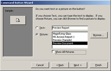 Command Button Wizard: Page 3 - select text or picture