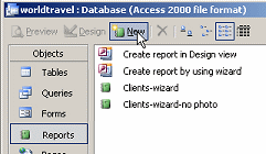Database Window: Reports - New button