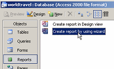 Database Window: Reports - Create report by using wizatd