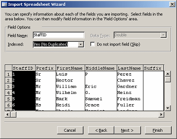Dialog: Import Spreadsheet Wizard - step 4: select fields, data type, index