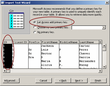 Dialog: Import Text Wizard - step 5: primary key