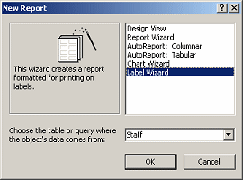 Dialog: New Report - Label Wizard and Staff