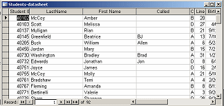 Example of Form Layout: Datasheet