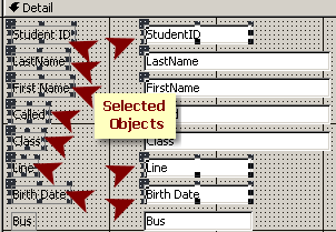 Selected by dragging - labels and controls