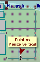 Selected control with pointer as Resize Vertical