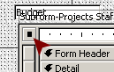 Form Design View: Form Selector