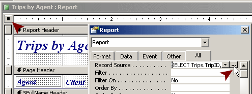 Report Design View: whole report selected. Properties dialog - ellipsis button