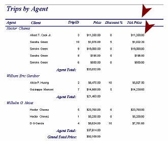 Print Preview: Trips by Agent, with Net Price column