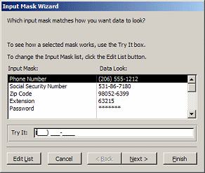 Dialog: Input Mask Wizard
