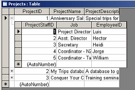 Table Datasheet View: Projects with Subdatasheet