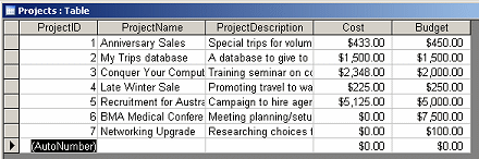 Table Datasheet View: Projects - with new records