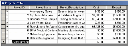 Table Datasheet View: Projects - with new record