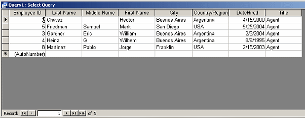 Query Datasheet View: Make-Table Agents