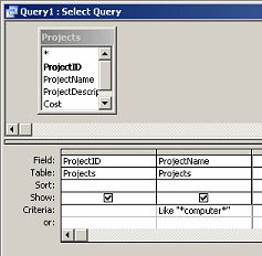 Query Design View: select ProjectName=Like"*computer*"