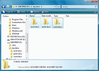 Computer window showing 3 selected folders (Vista)