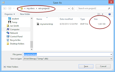 Dialog: Save As - Details (Win8)