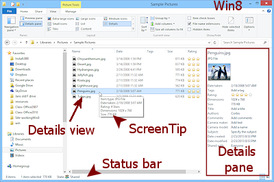 Details show in Details pane at the right (Win8)