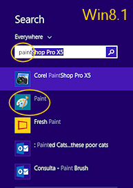 Search results: paint (Win8.1)