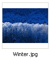 Thumbnail: winter.jpg