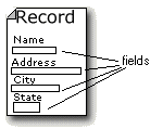 A record is made up of fields.