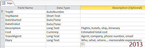 Table: Trips - field names and data types (Access 2013)