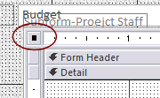 Form Design View: Form Selector