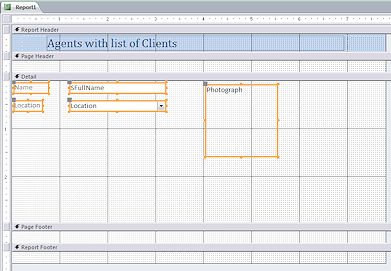 Design View: controls added to blank report (Access 2010)