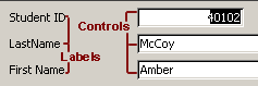 Controls on a form