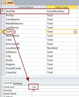 Table Design View: Staff - after import and AutoNumber created