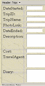 Page Design View: Labels are resized
